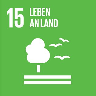 Nachhaltigkeit in der Universitätsmedizin | Sustainable Development Goals | Logo