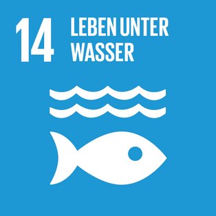 Nachhaltigkeit in der Universitätsmedizin | Sustainable Development Goals | Logo